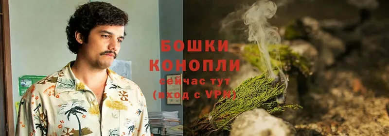 Канабис Bruce Banner  Берёзовка 